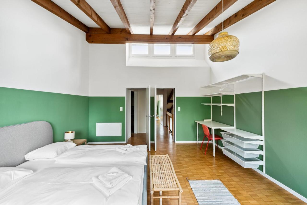 Cozy Apartments Close To The Center Of Zurich Forch ภายนอก รูปภาพ