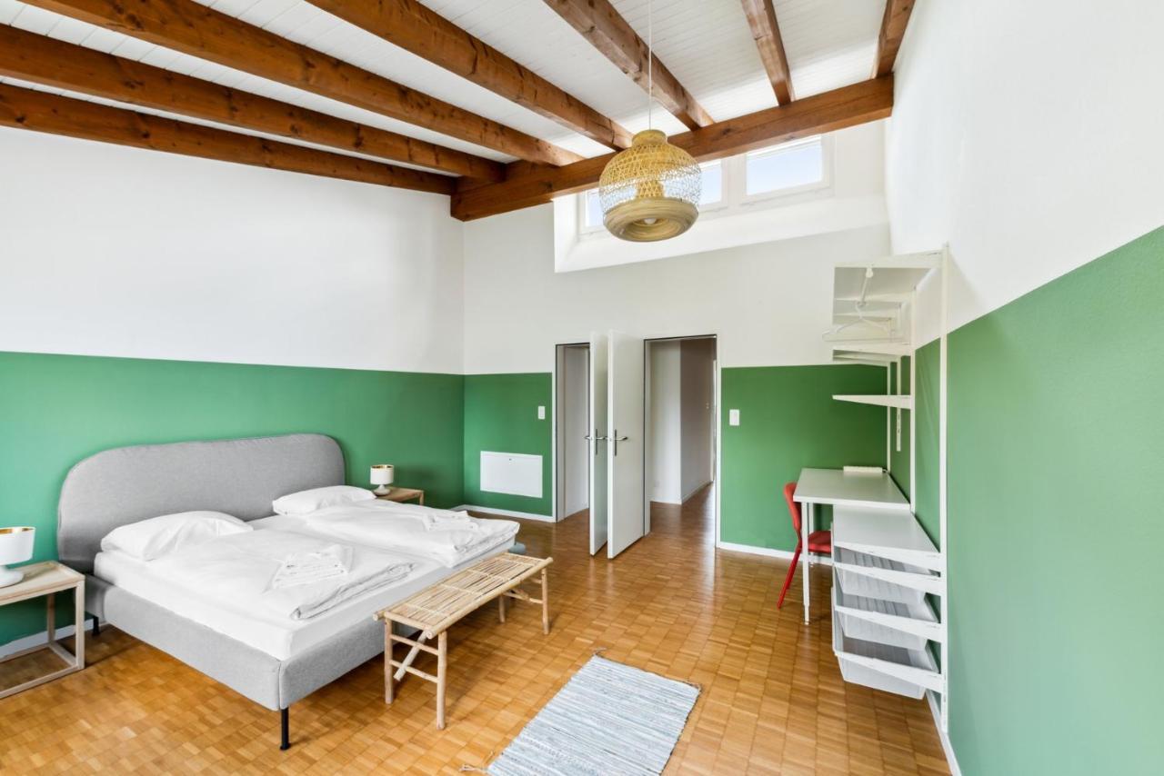 Cozy Apartments Close To The Center Of Zurich Forch ภายนอก รูปภาพ
