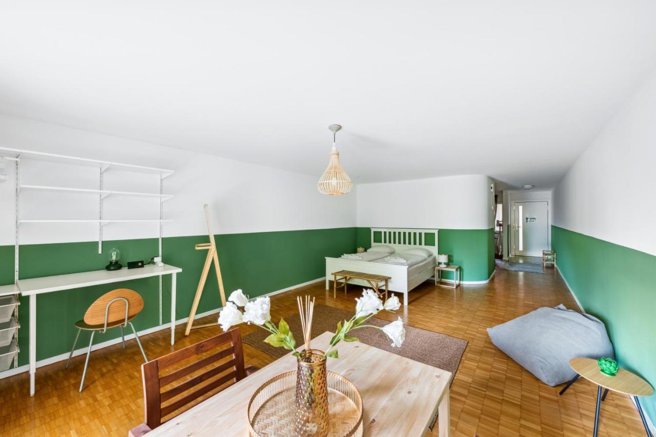 Cozy Apartments Close To The Center Of Zurich Forch ภายนอก รูปภาพ