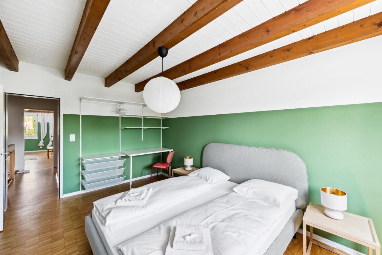Cozy Apartments Close To The Center Of Zurich Forch ภายนอก รูปภาพ