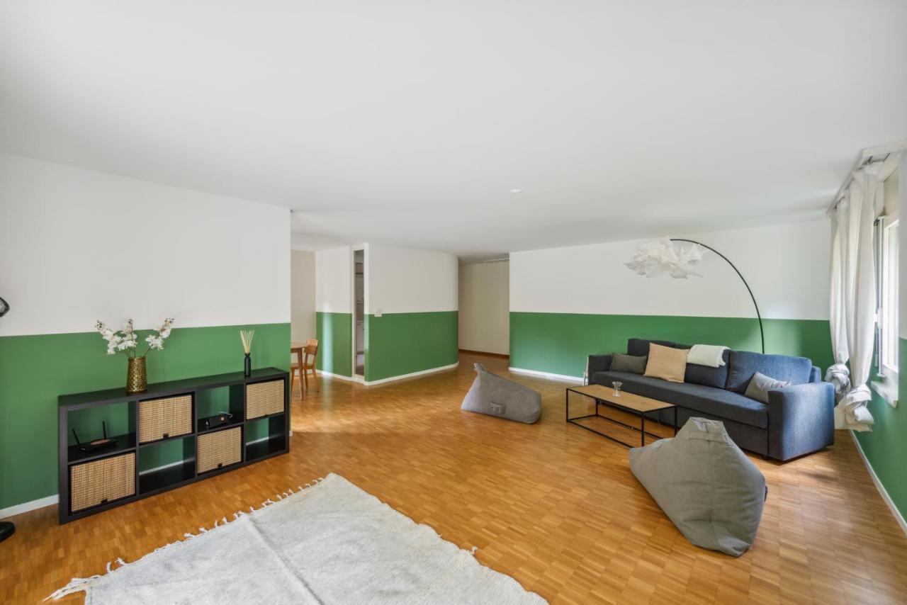 Cozy Apartments Close To The Center Of Zurich Forch ภายนอก รูปภาพ